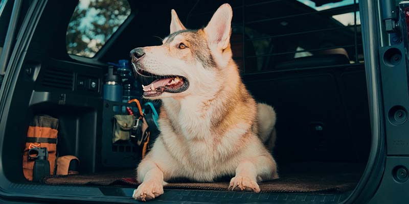 New Honda Models New Rochelle NY