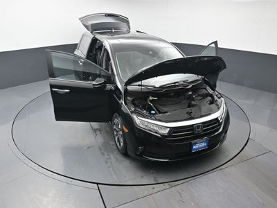 2024 Honda Odyssey EX-L