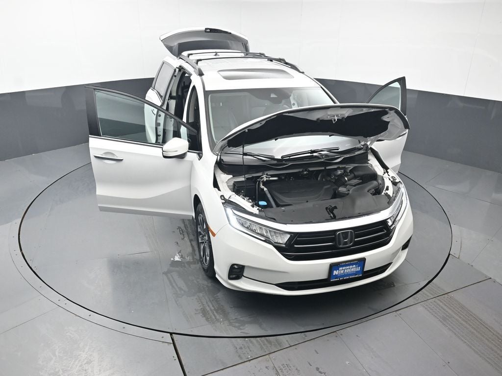 2024 Honda Odyssey EX-L