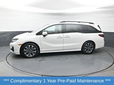 2025 Honda Odyssey Elite