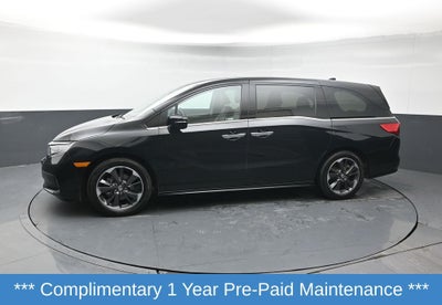 2024 Honda Odyssey Elite