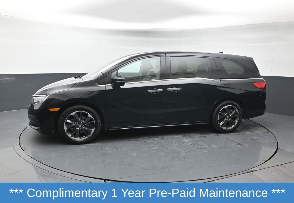 2024 Honda Odyssey Elite