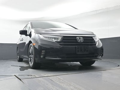 2024 Honda Odyssey Elite