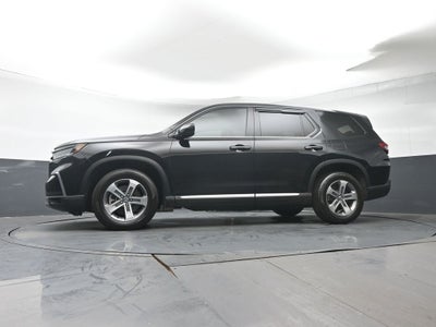 2024 Honda Pilot EX-L 8 Passenger