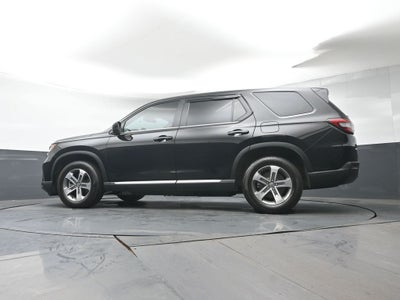 2024 Honda Pilot EX-L 8 Passenger