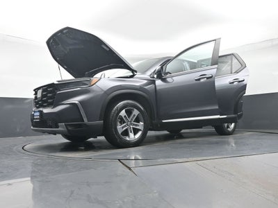 2023 Honda Pilot EX-L 8 Passenger