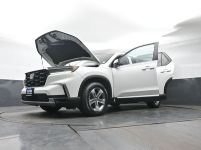 2023 Honda Pilot EX-L 8 Passenger