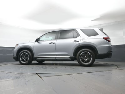 2024 Honda Pilot EX-L 8 Passenger
