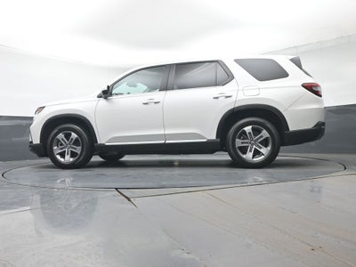 2024 Honda Pilot EX-L 7 Passenger