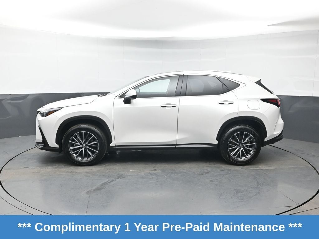 2025 Lexus NX 350 Premium