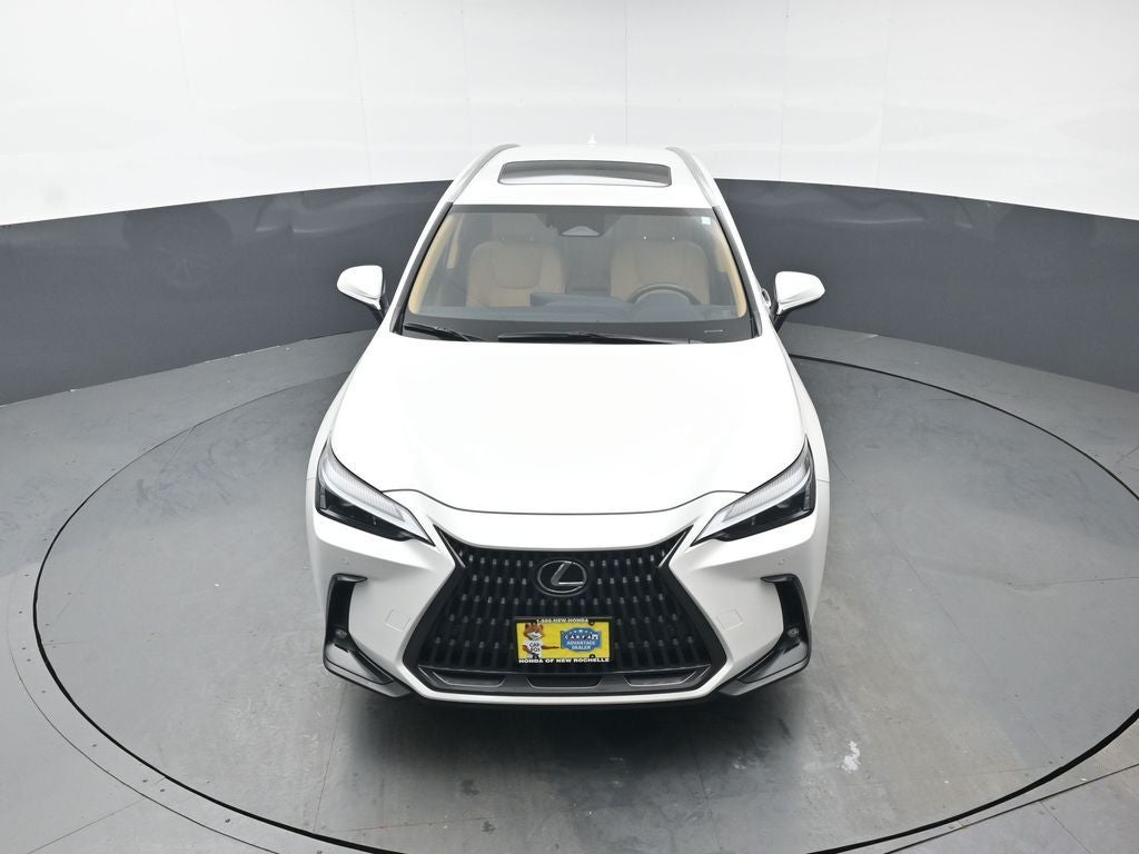 2025 Lexus NX 350 Premium