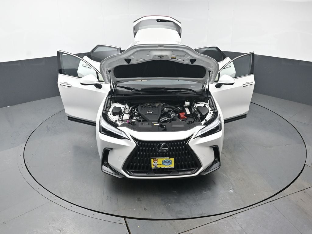 2025 Lexus NX 350 Premium