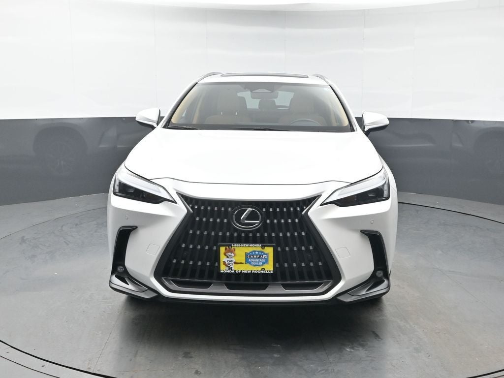 2025 Lexus NX 350 Premium