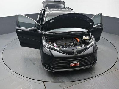 2026 Toyota Sienna XLE 7 Passenger