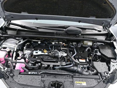 2025 Toyota Prius XLE