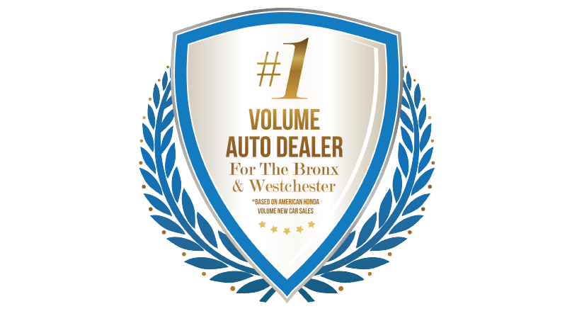 #1 Volume Auto Dealer
